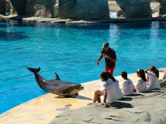 Riccione - Oltremare